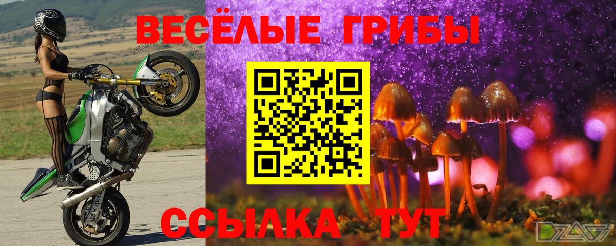 Псилоцибиновые грибы мицелий Чапаевск