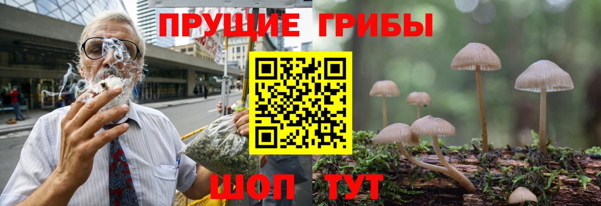 Чапаевск  закладка  Вход с VPN  Галлюциногенные грибы прущие грибы 